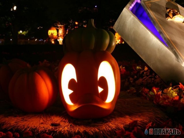 ХЭЛОУИН. Празднуем Halloween