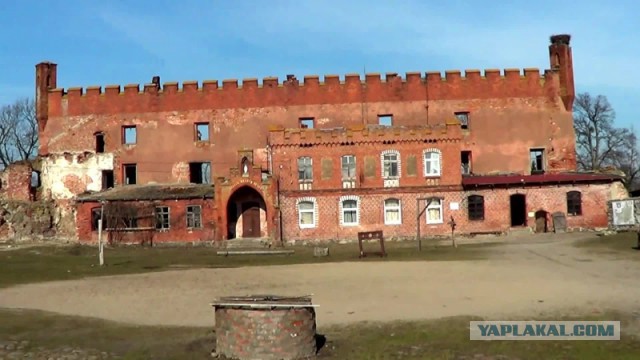 Очарованная Калининградом