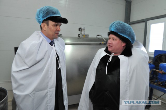 Гребаные бахилы