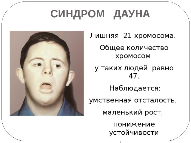 ДНР нанесли залповый удар реактивными снарядами по украинским войскам
