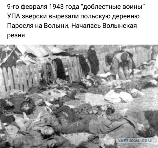 Храбрые живут вечно: в Сербии появился граффити-портрет Гиви