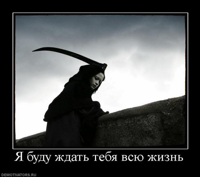 Поляна чёрного юмора и цинизма