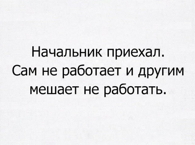 Очередная порция перлов