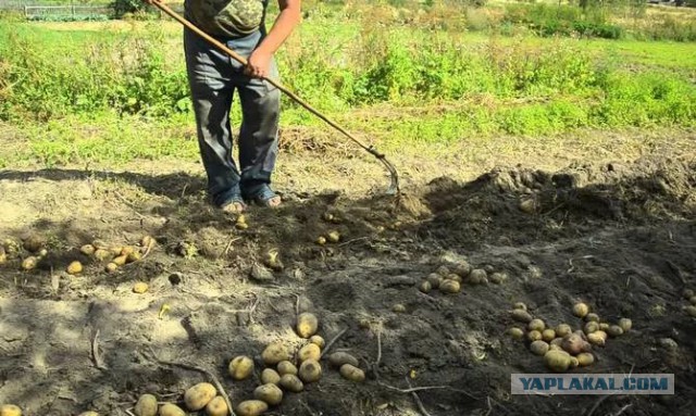 Самый обычный дом в Белоруссии