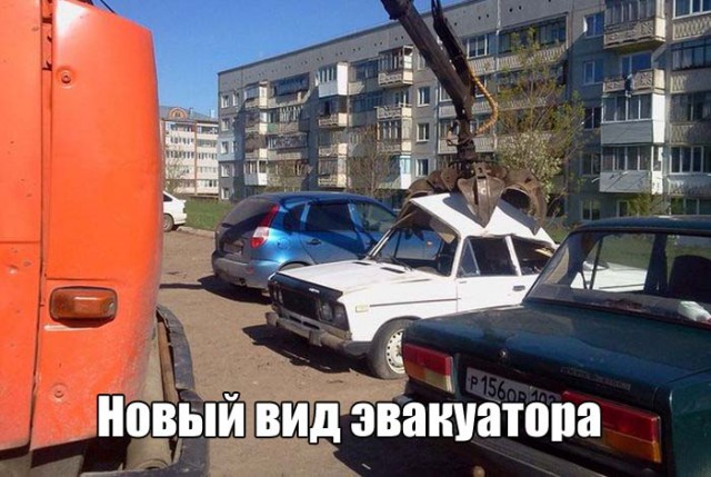 Смешные картинки