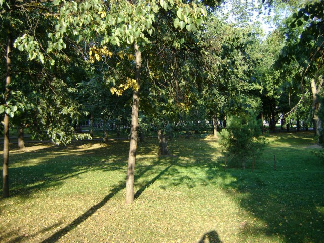 Новосибирск