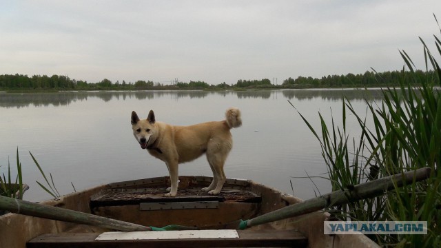 Родина. Костромская область.