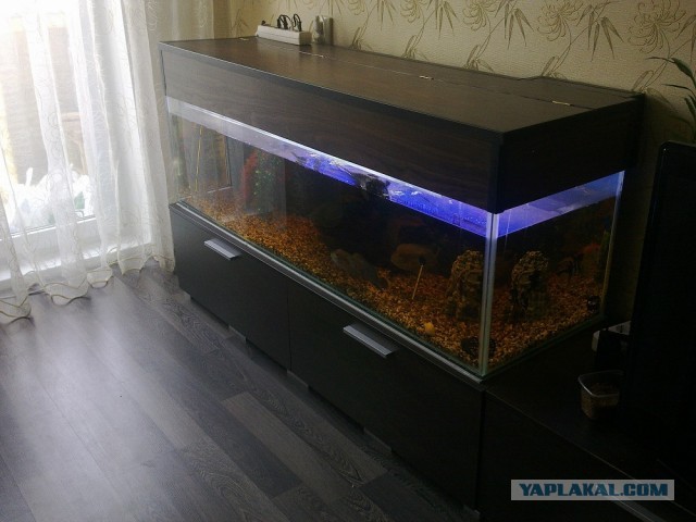 Операция "Крышка"