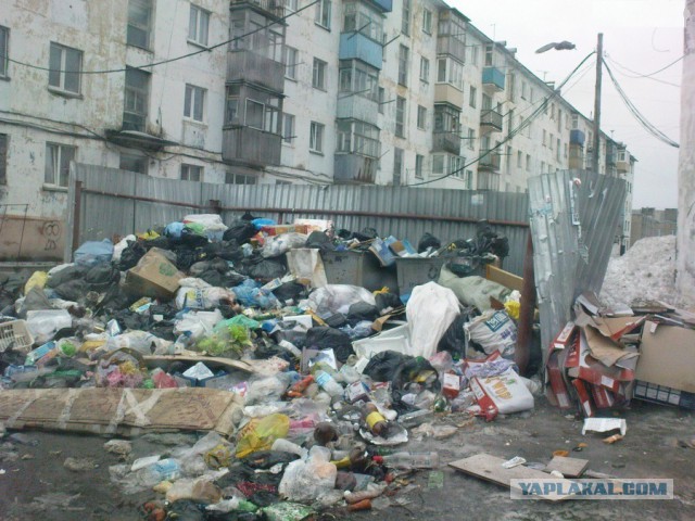 «Россия в 2046 году»