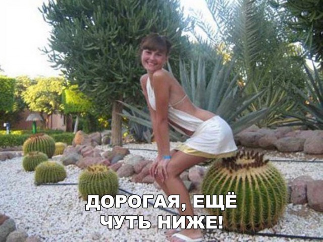 Нестандартный юмор