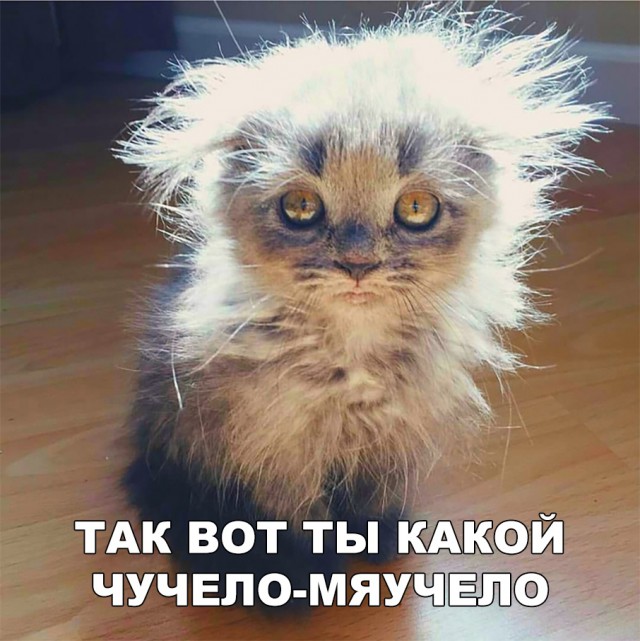 Нестандартный юмор