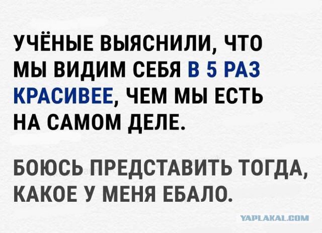 Прикольные комментарии и высказывания из Сети. 03. 10. 2018
