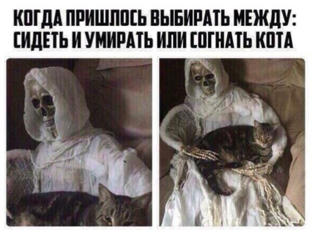 Сто и одна картинка в этот четверг