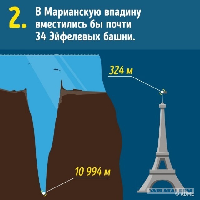 10 вещей, о реальных размерах которых мы и не подозревали
