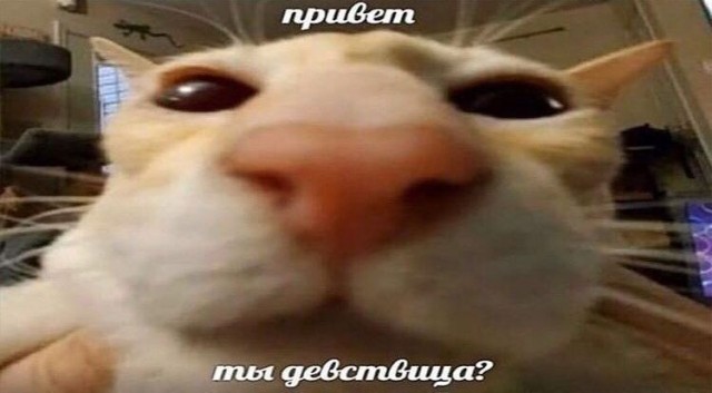 Бредзона 23.05.20