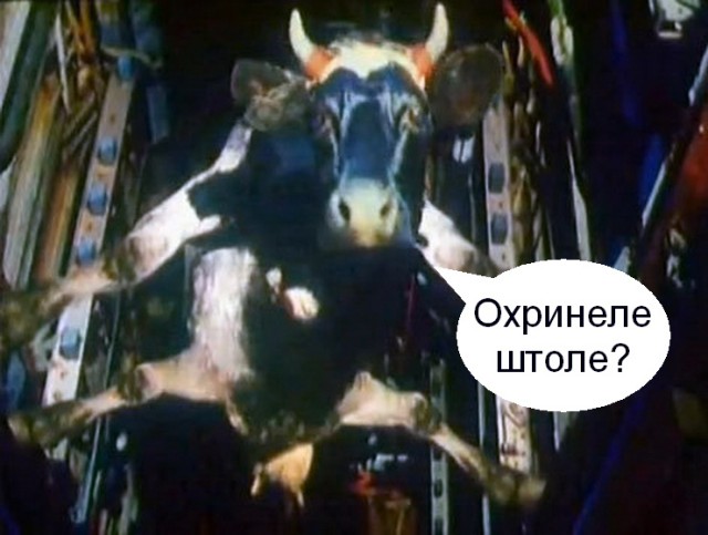 Секс в машине, личный опыт!