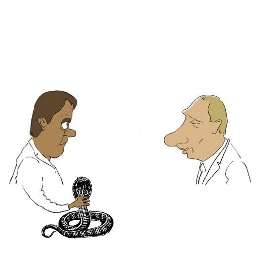 Экзотический сувенир