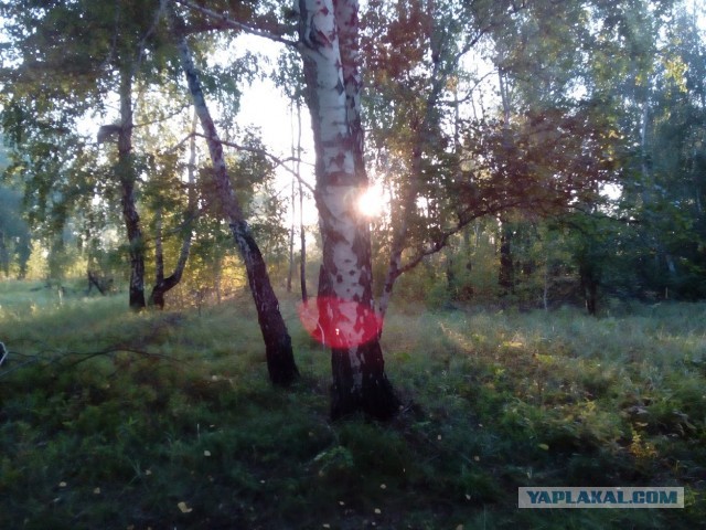 Про разность восприятий