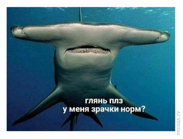 Кретинизмы из сети 05.02.21