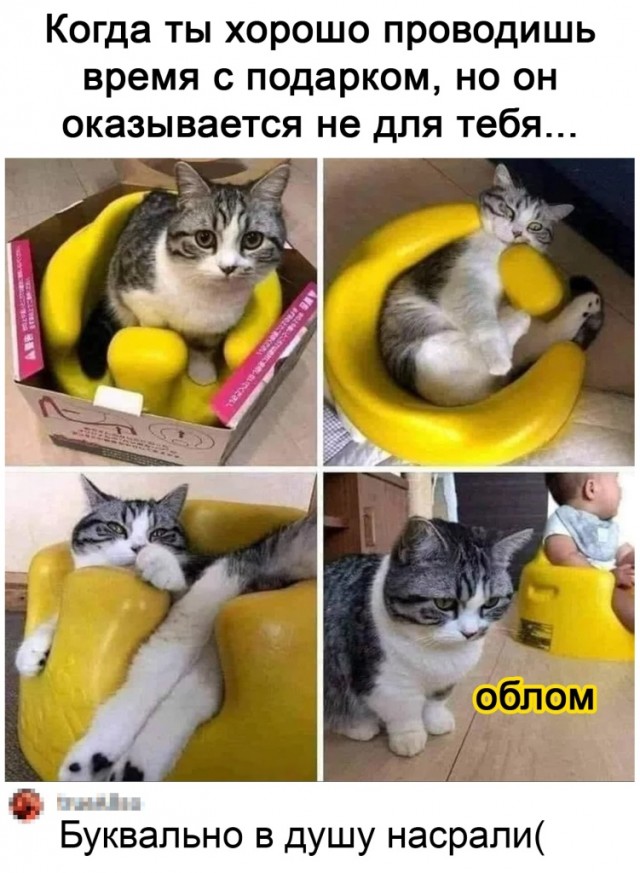 Картинки и мемы для настроения