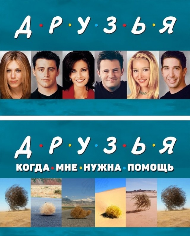 Весёлый полтишок 22.02