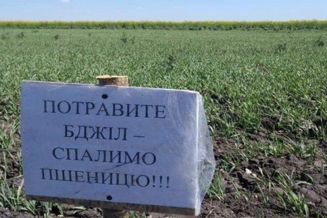 Анджелина Джоли снялась с роем пчел, чтобы привлечь внимание к проблеме их исчезновения