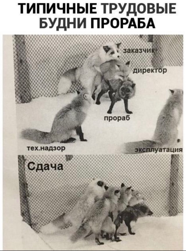 Немного картинок про стройку, ремонт и дЕзаИн
