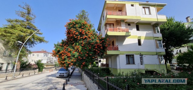 Живу в Стамбуле