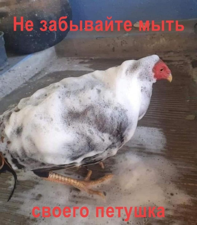 Так себе картинки 16.09.21