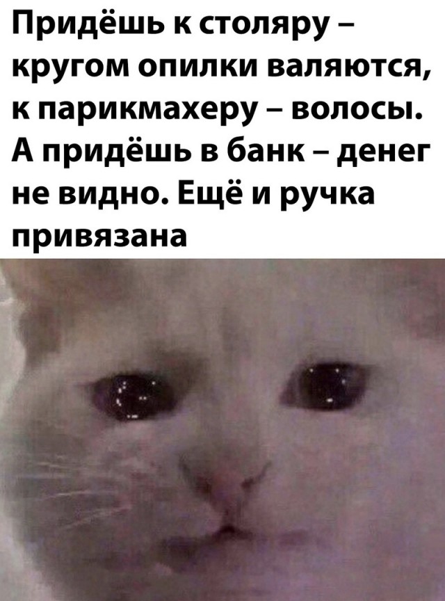 Весёлый полтишок 16.10