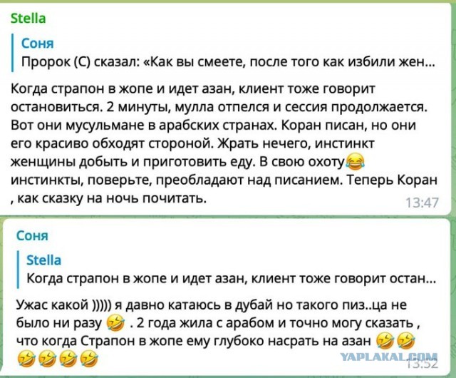 Весёлый полтишок 07.11