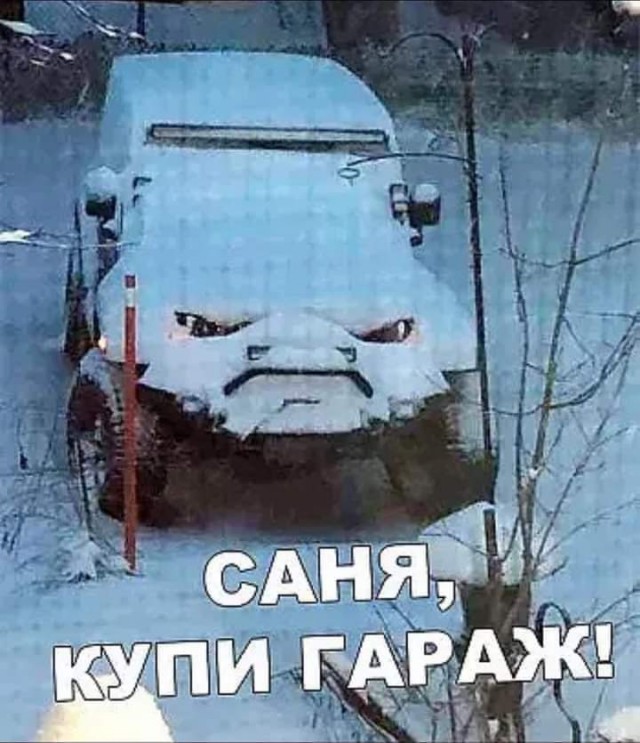 Всяческие картинки 24.11.2021