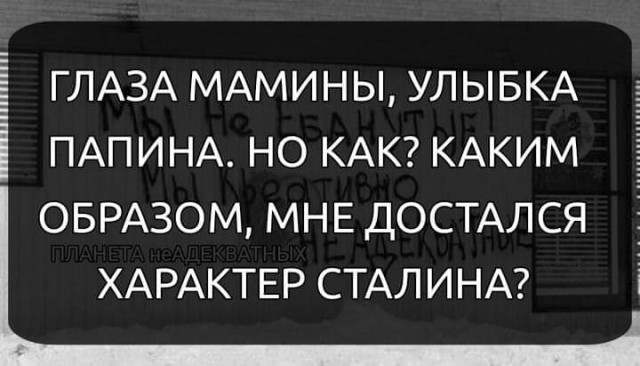 Всяческие картинки 15.12.2021