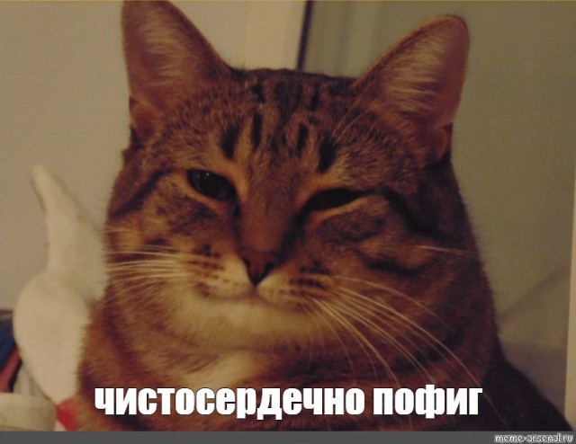А это законно?