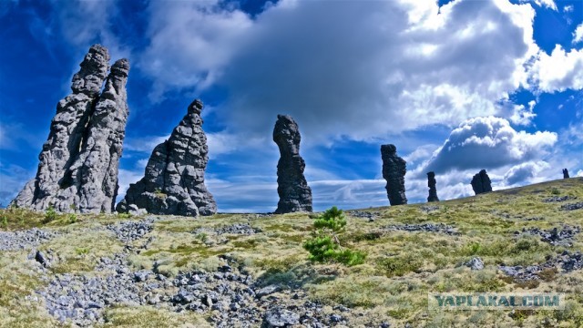 Болваны, я восьмой