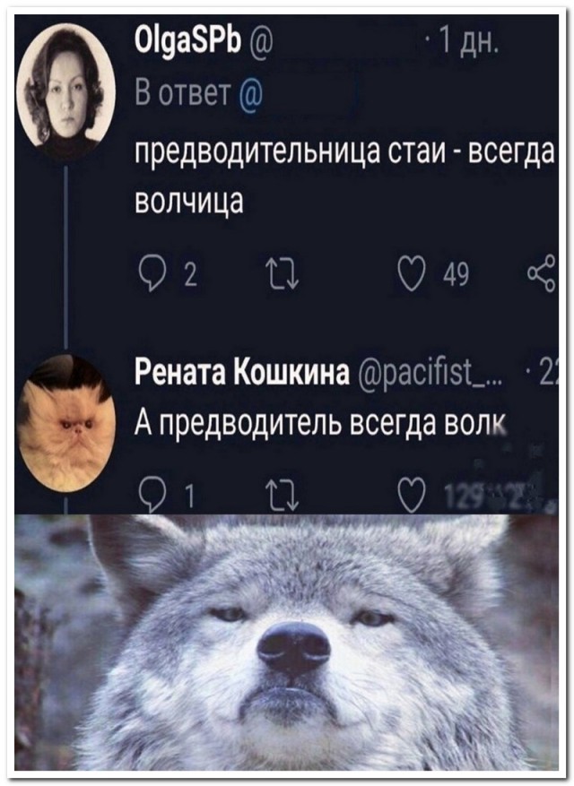 Забавные комментарии из социальных сетей (07.02.22)