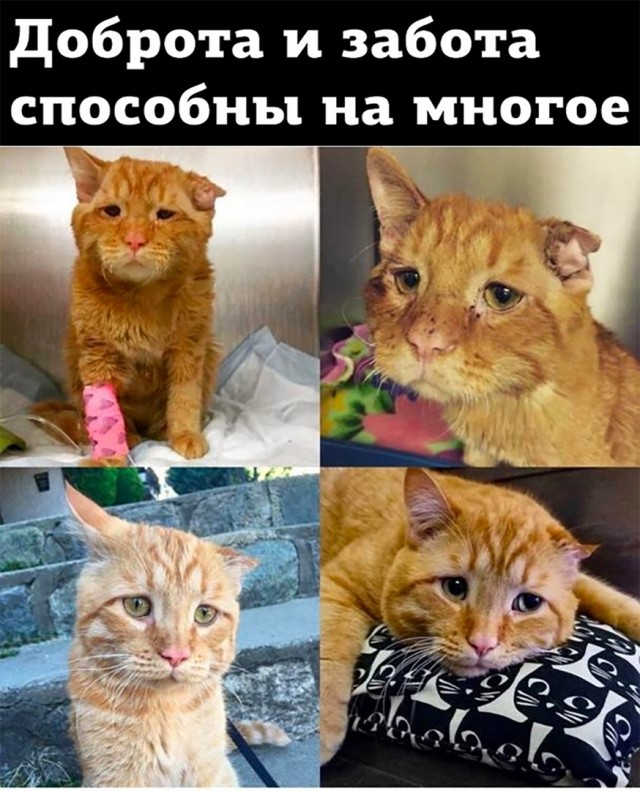 Так себе картинки 12.05.22