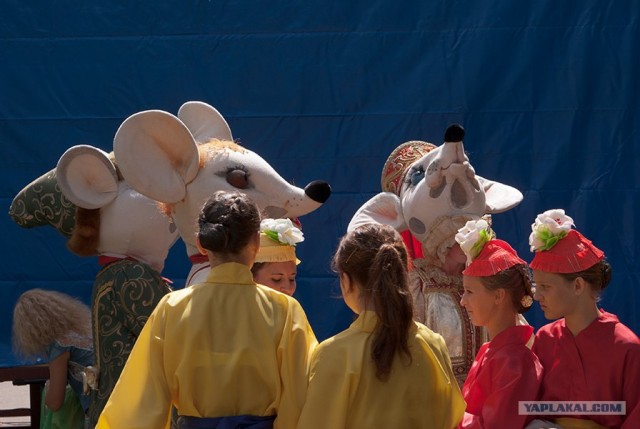 Нескучный выходной