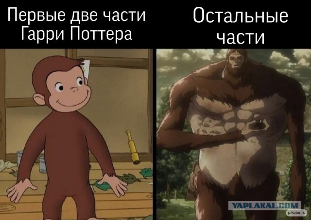 Гарри Поттер и его приключения на телеканалах