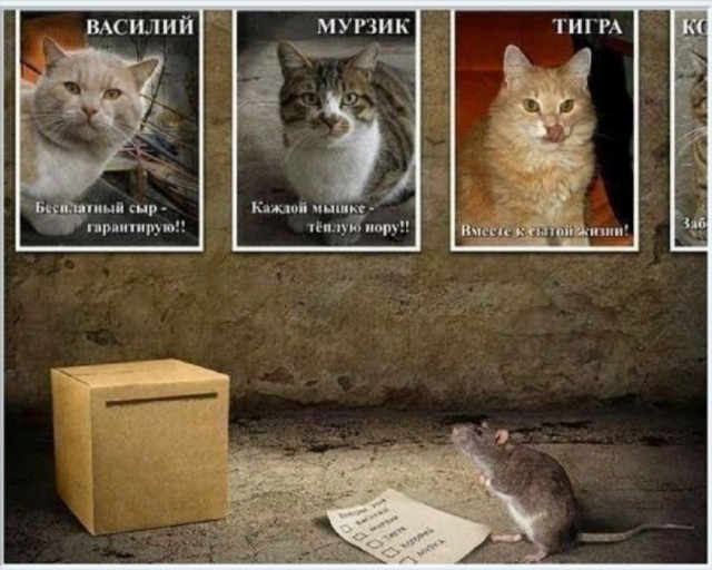 Прикольные и просто красивые картинки 29.11.2022
