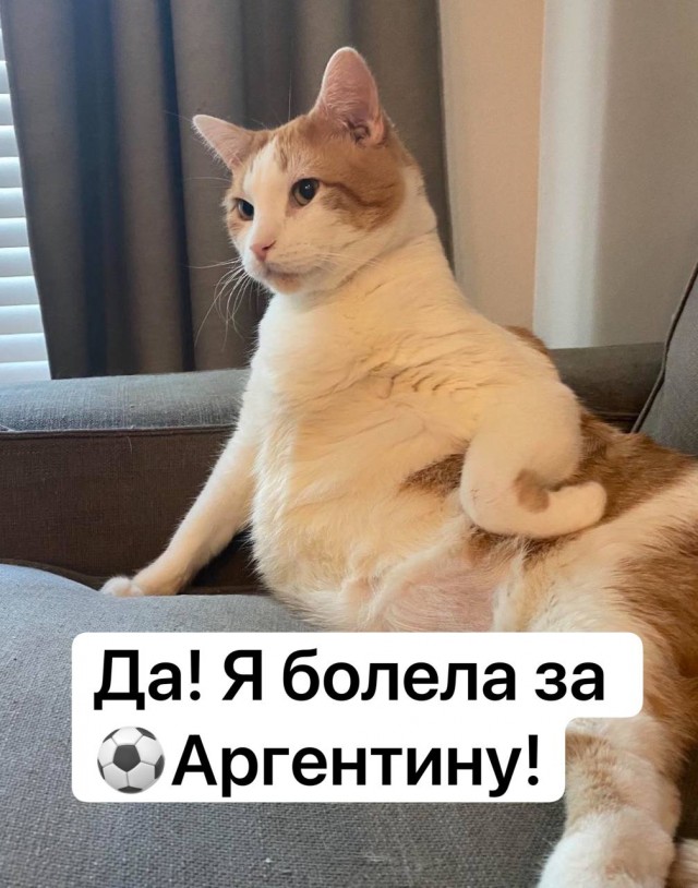 Победная поступь идиотизма по планете – том 4