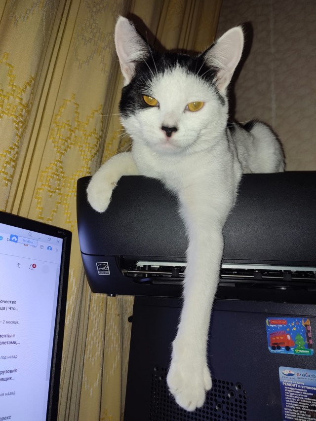 Само совершенство