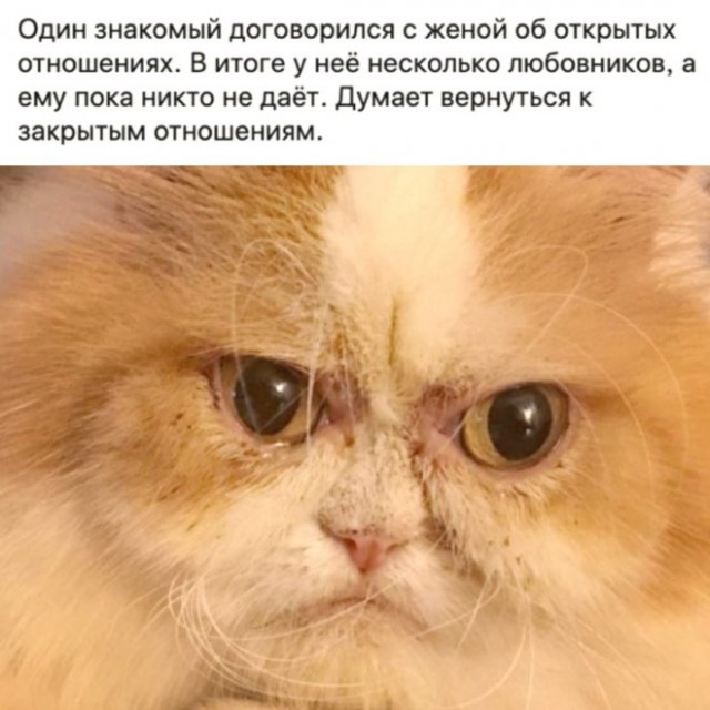 Картинки и мемы для настроения - 119