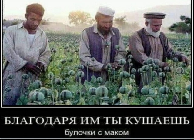 Афганистан («Талибан»*) и Россия создают торговый союз на 1 млрд долларов