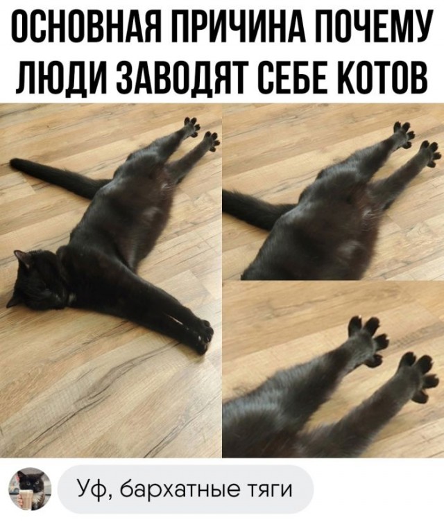 Немного картинок для настроения - 153