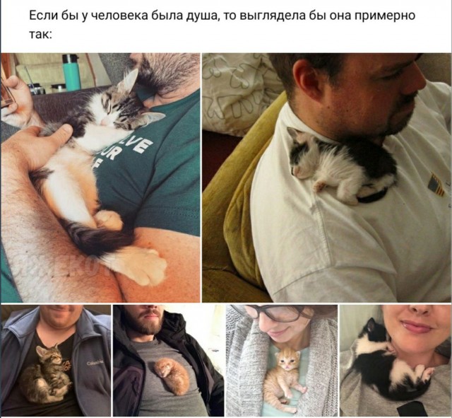 Есть ли у человека душа?