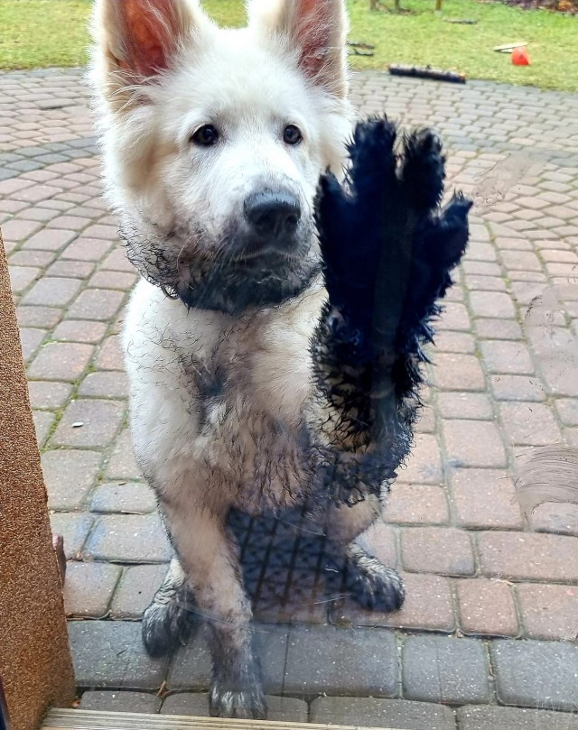 Подборка интересных и прикольных фото из Сети 01.04.23