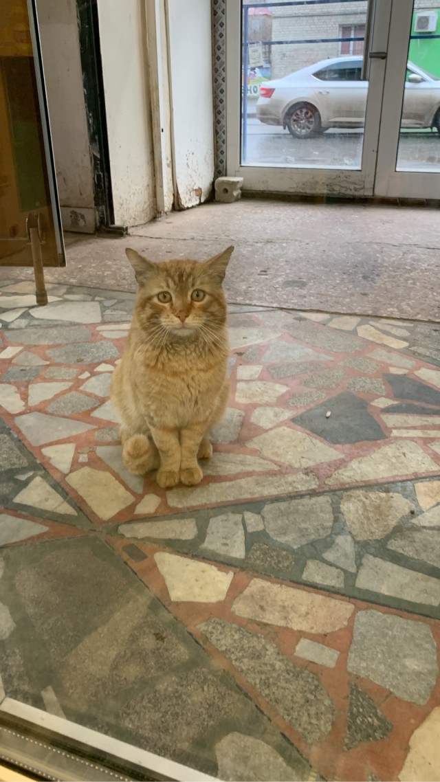 На том же месте в тот же час