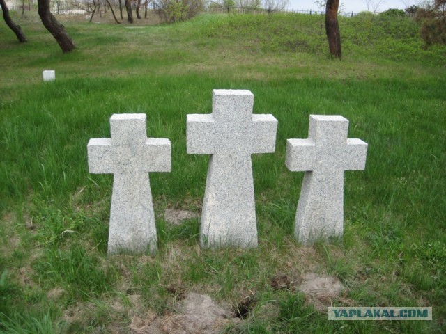 Пиллау, Балтийская коса, аэродром, форт и лебеди