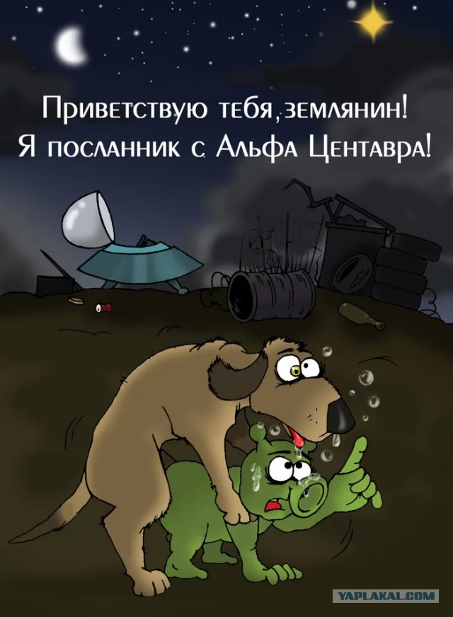 Восьминог (Octopoda Leach) в естественной среде обитания.